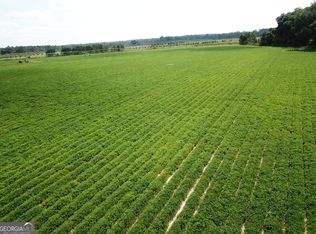 0 Highway 65, Camilla, GA 31730