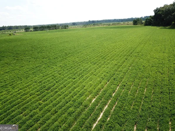 0 Highway 65, Camilla, GA 31730