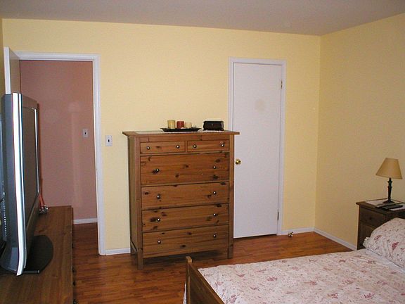 Spacious Master Bedroom with Walk-in Closet
