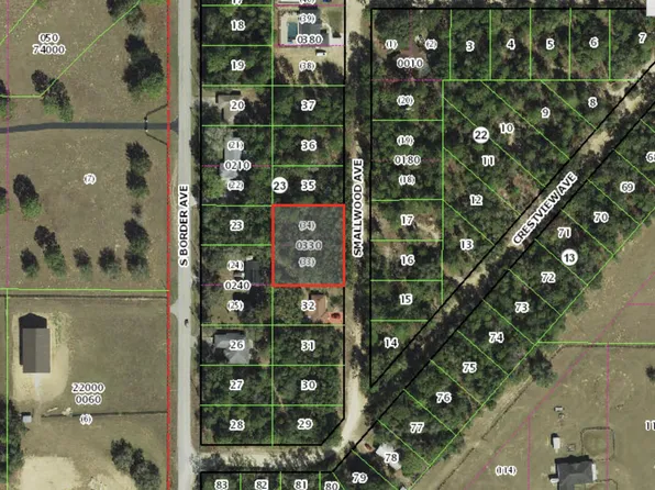 314 Smallwood Avenue, Inverness, FL 34452