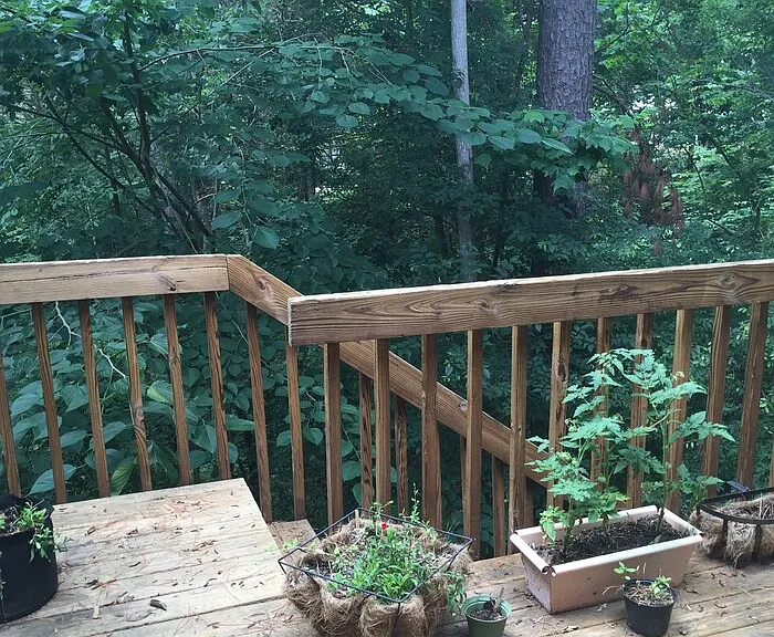 104 Cedarwood Ln — Photo 16