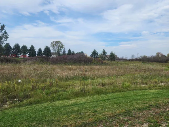 0 Emerald Ln Parcel 6, Almont, MI 48003