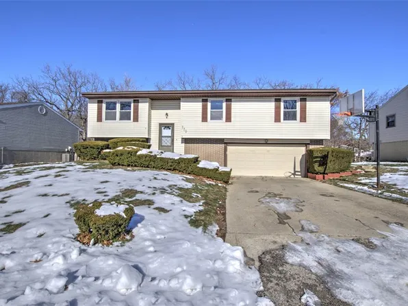770 N Whitetail Cir, Mt Zion, IL 62549