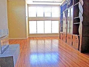 Living :: 719 Clementina B