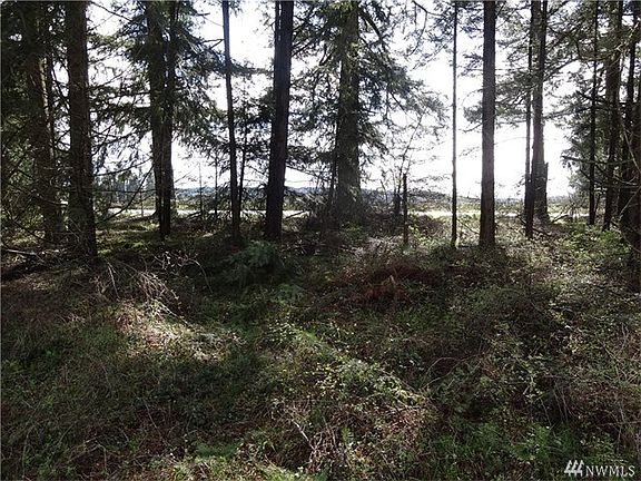Looking south towards Goddard Rd.