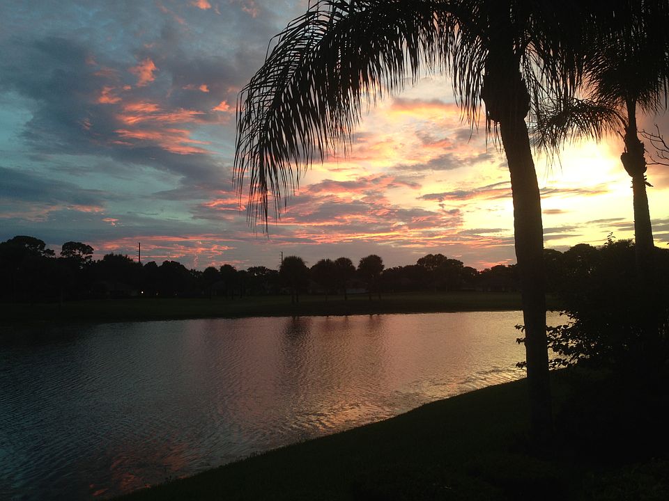 View from Florida room