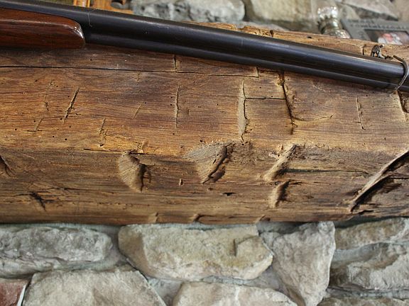 hand hewn beam from property