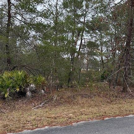 2nd image of MALAUKA DRIVE LOT 11