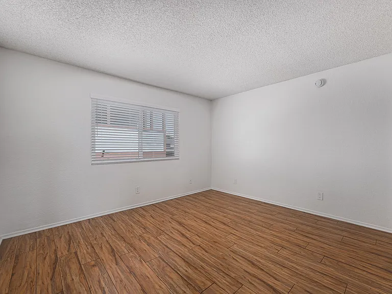 10133 Tujunga Canyon Blvd — Photo 23