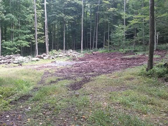 4th image of Quarry Road