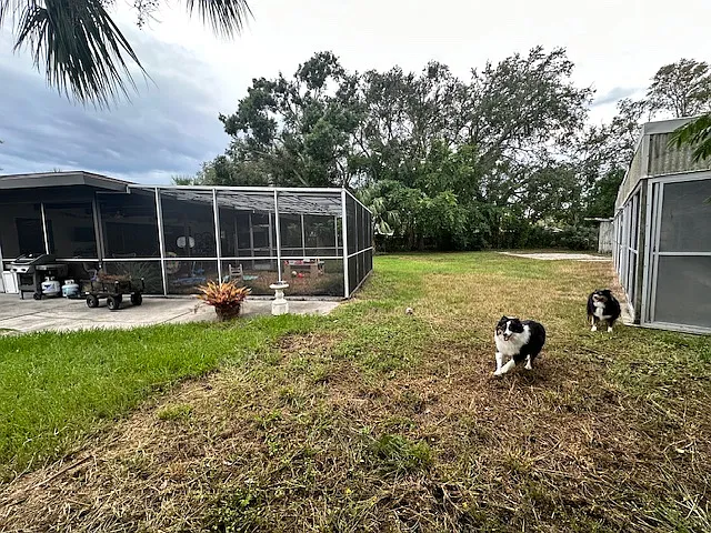 Massive back yard, fully fenced in.