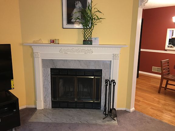 Wood Burning Fireplace