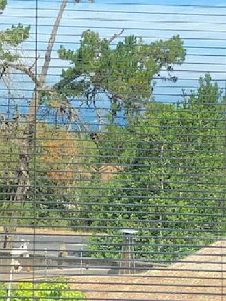 Adobe Ln — Photo 13