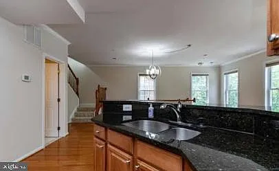 4647 Red Admiral Way #163 — Photo 37