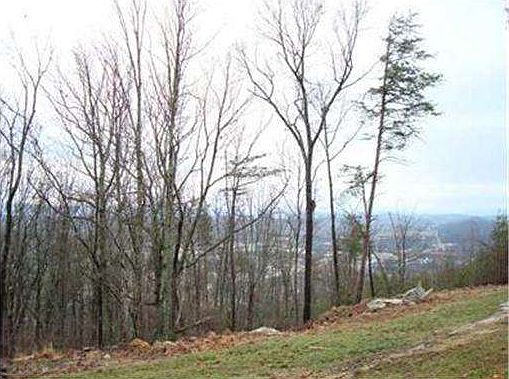 5th image of 9108 Terrace Falls Dr
