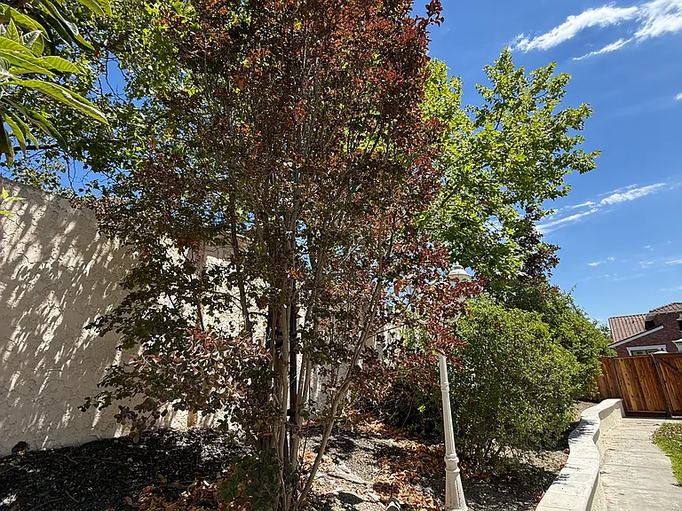 side yard on the right-hand side