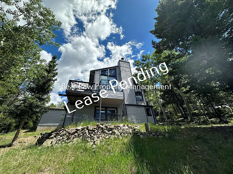 11243 Conifer Mountain Rd — Photo 1