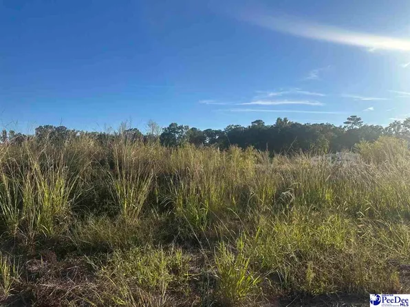 3506 Tropicana Way, Florence, SC 29501