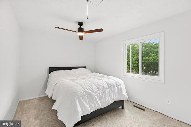 301 Reneau Way — Photo 15