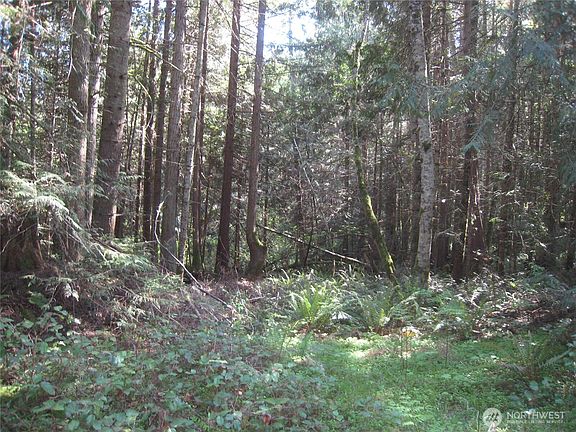 5th image of 146 Humble Hill Road