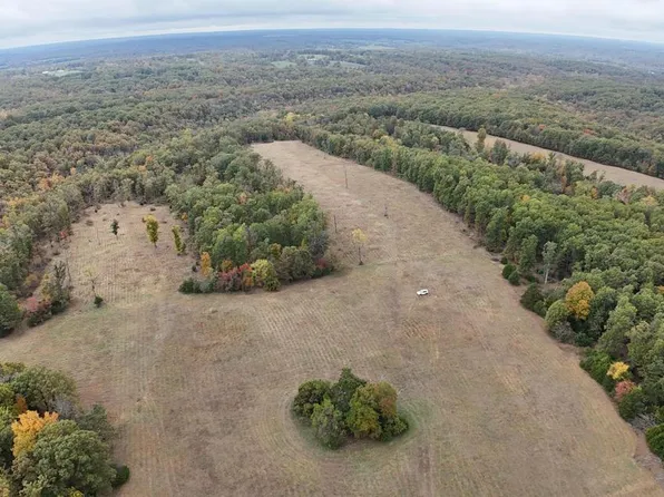 000 Hawknest Trail, Long Lane, MO 65590