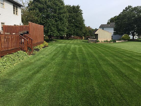 Large, open backyard