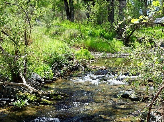 Bear Creek in Your Front Yard!