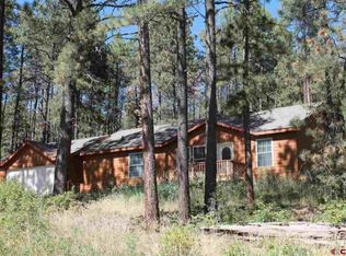 717 Blue Ridge Dr, Bayfield, CO 81122