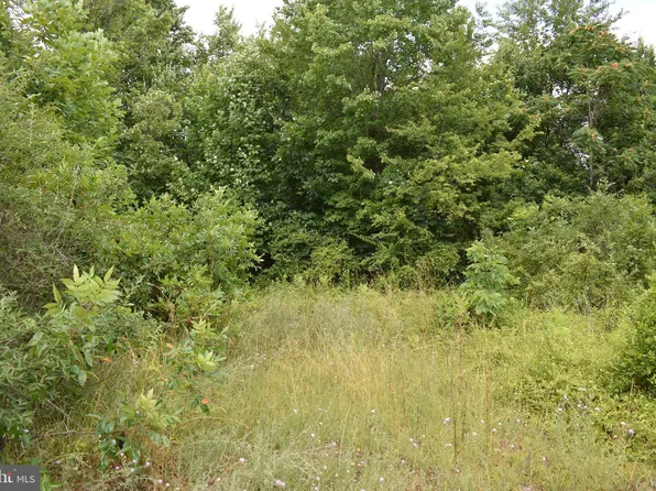 McKees Gap Rd Lot 9, Warfordsburg, PA 17267