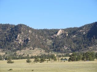 7186 Park Rd, Lake George, CO 80827