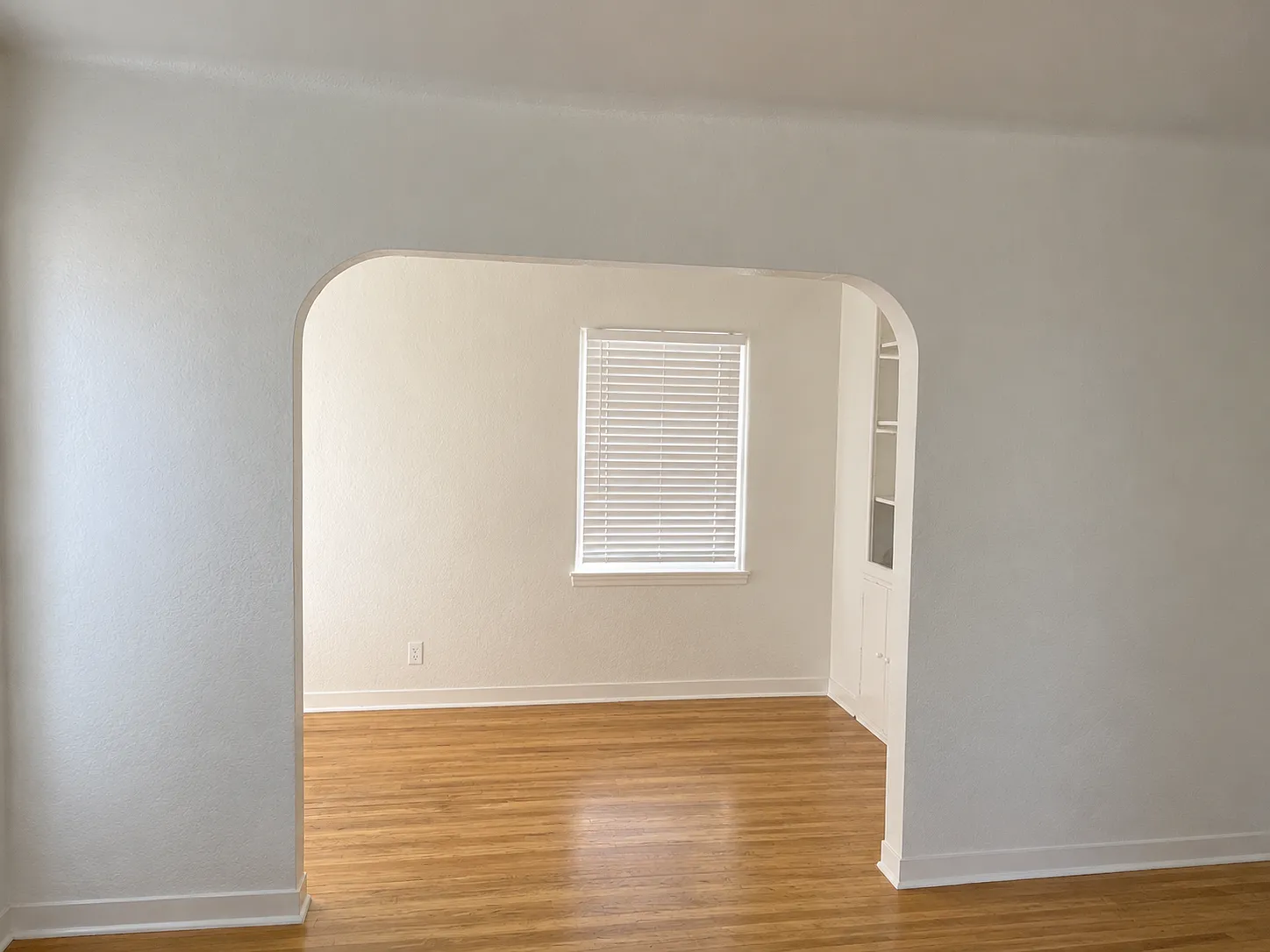 Branch-South - 471B — Photo 3