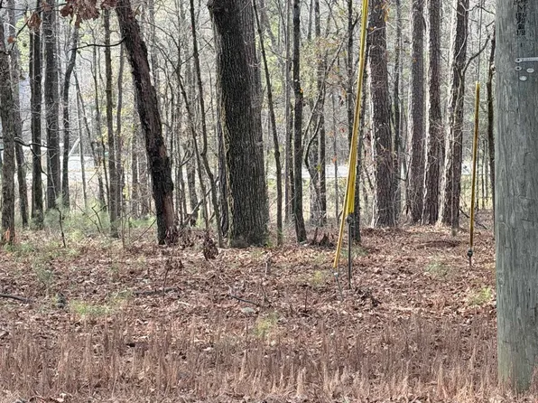 0 Renfroe Rd #5, Alpine, AL 35014