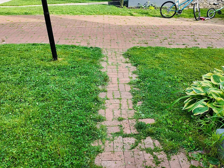 Front and side yard and brick driveway
