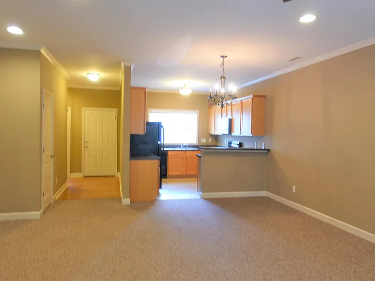113 Bankside Ln — Photo 6