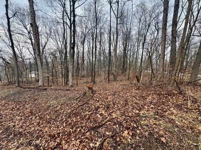 0 Forest Ln, Nashport, OH, 43830