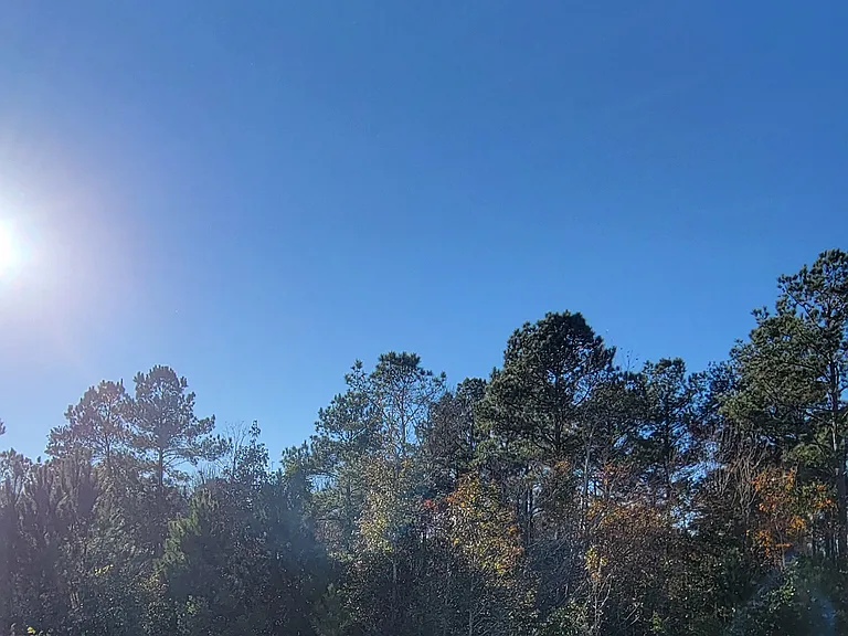 1409 Creek Bend Ter — Photo 15