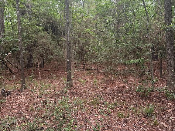 4th image of Bilnoski Rd