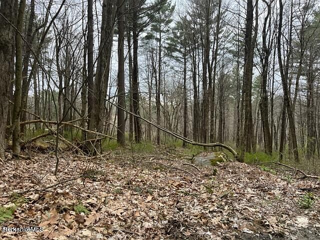 2nd image of 162 Alford Rd