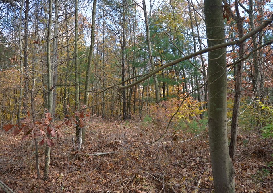 2nd image of 13 Nachaomet Rd
