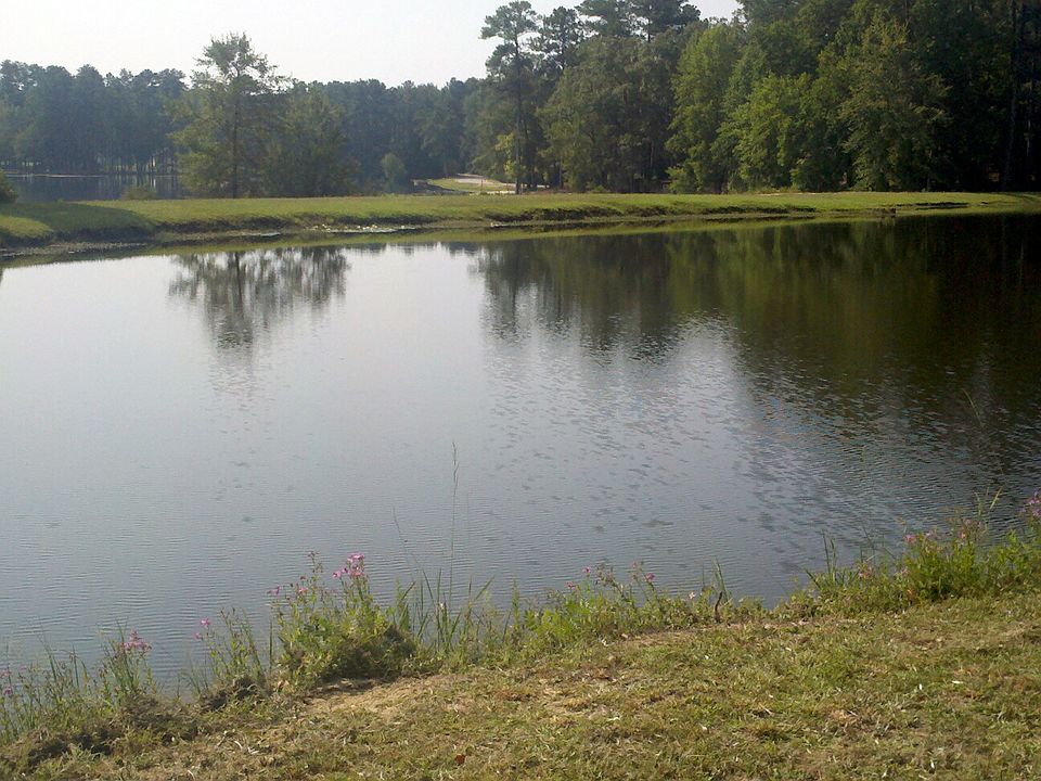 2nd image of 127 Emerald Lake Rd