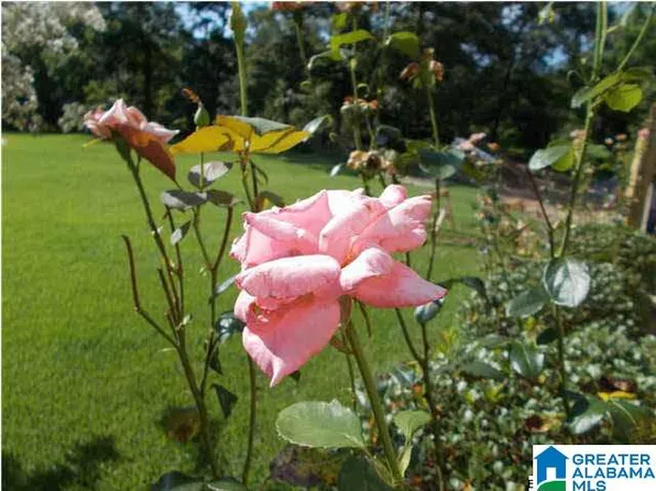 15023 Lock 17 Rd #1, Adger, AL 35006