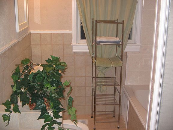 Remodeled Bathw-Spa Tub Stand Up Shower