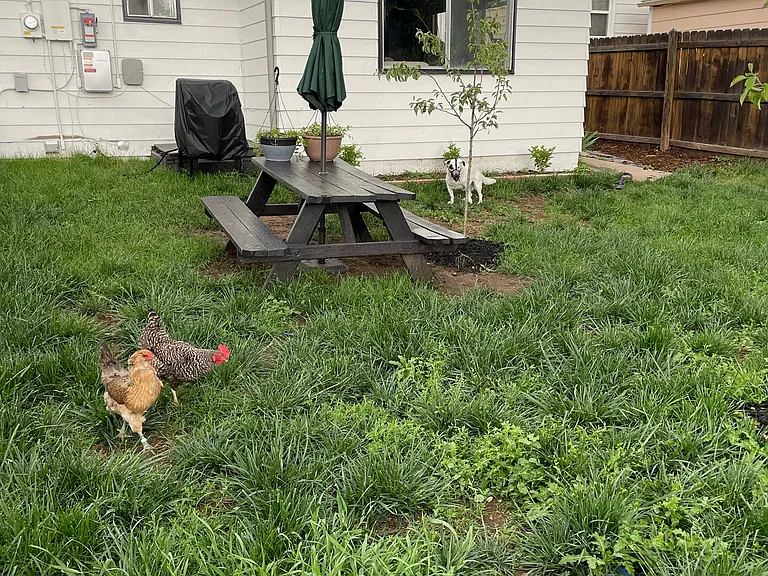 S Stuart St — Photo 34