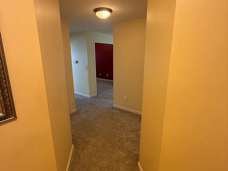 969 Mistflower Ln — Photo 1