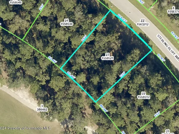 19612 Sterling Bluff Way, Brooksville, FL 34601