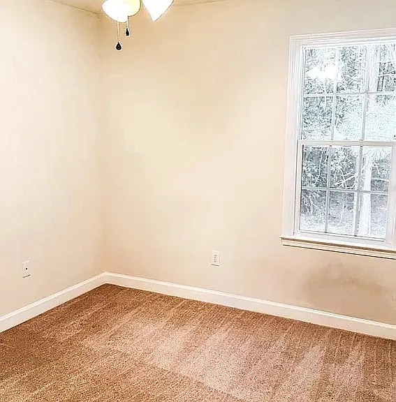 2226 Trailwood Valley Cir — Photo 19
