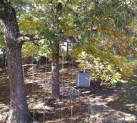 large 1.12 acre lot fenced in w/above ground pool and storage building.