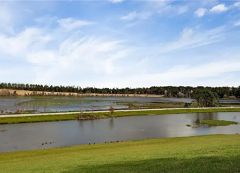 2926 Black Birch Dr — Photo 29