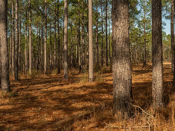 5th image of 1 Old Stage Rd