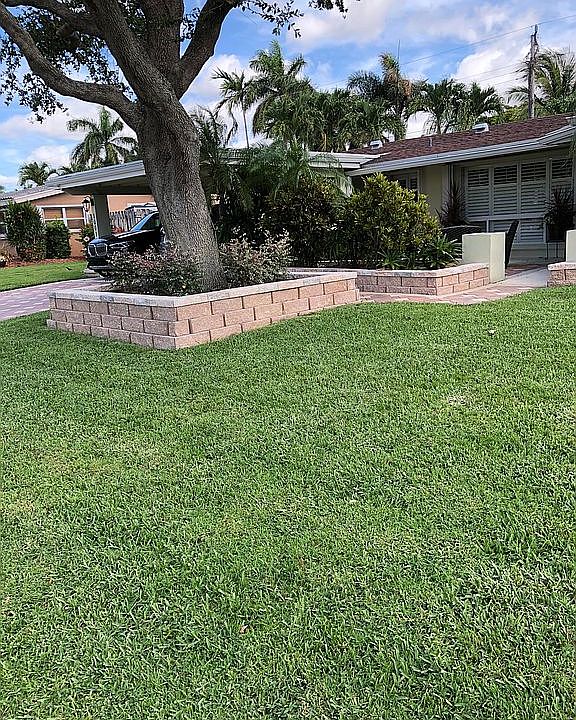 Front Yard from the east